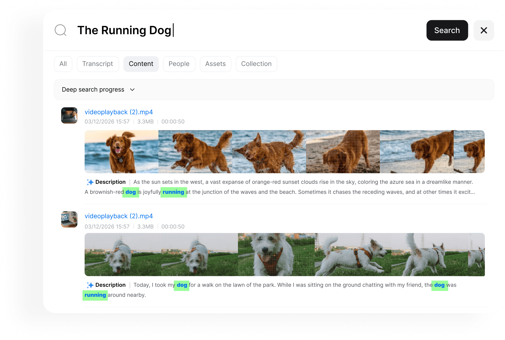 Deepfinder result preview